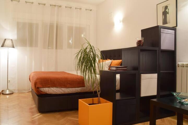 דירות מדריד Estudio Acogedor Y Luminoso מראה חיצוני תמונה